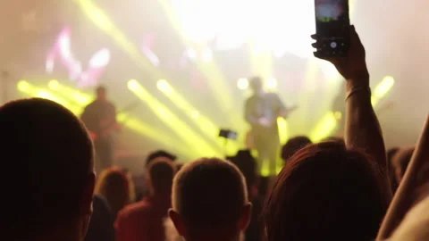 Dancing people at the concert. Stock Footage 217387687