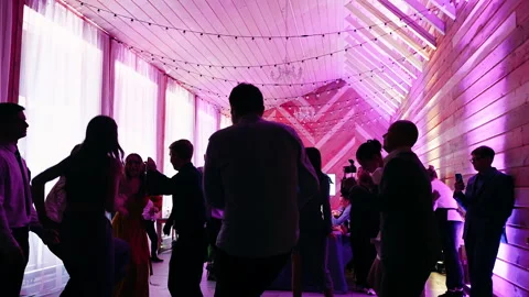 Dancing people at a party Stock Footage 272308934
