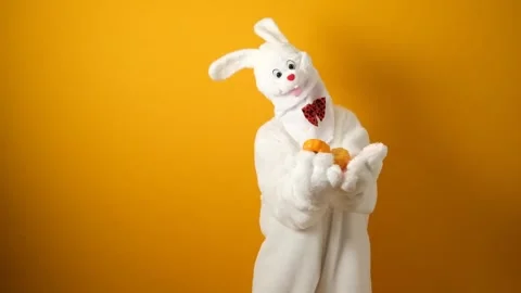 Dancing rabbit. A man in a white rabbit costume. Stock Footage 241178243