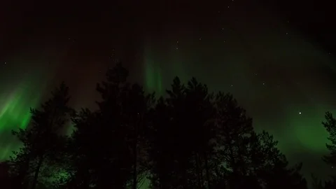 Dancing Red Curtain of Aurora behind Forest  - REAL TIME - NO time lapse Stock Footage 69853614