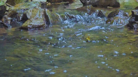 Dancing Ripples: The Flow of Tranquil Waters Stock Footage 282724132