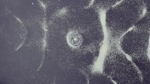 Dancing sand on the surface of Chladni plate Vídeos de archivo 89138436