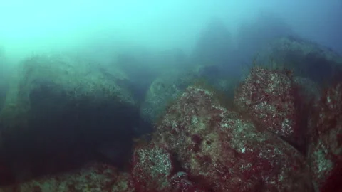 Dancing shadows beneath barents sea, arctic realm Video stock 312097614