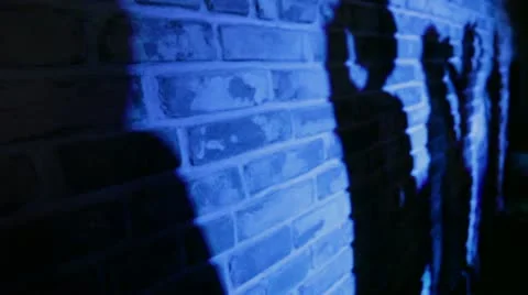 Dancing shadows Stock Footage 12584996