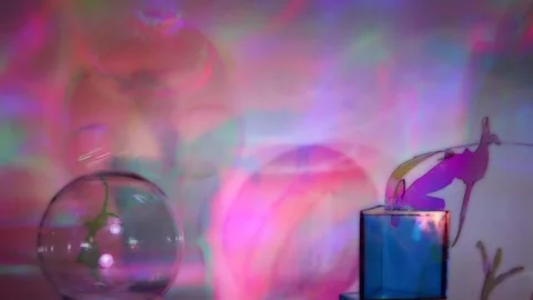 Dancing Shadows: Human Forms &amp; Light Refractions Stock Footage 302412197