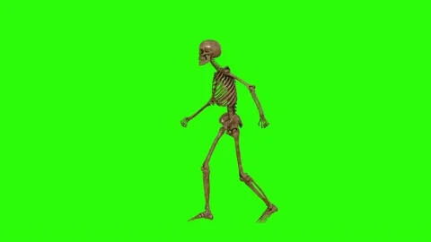 Dancing skeleton , animation, green background, loop 스톡 동영상 145961875