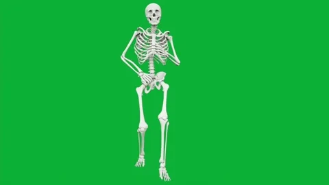Dancing skeleton halloween scary bone character loop animation on green screen 스톡 동영상 316374769