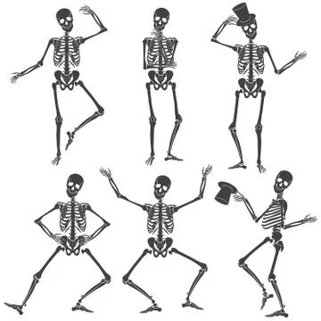 Dancing Skeletons. Different skeleton poses isolated. Иллюстрация