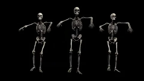 Dancing skeletons Stock-Footage 98247086