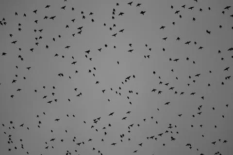 Dancing in the sky 2 Stock Photos