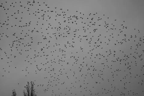 Dancing in the sky Stock Photos