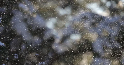 Dancing snowflakes in the sun, 4K slomo Video stock 163843335