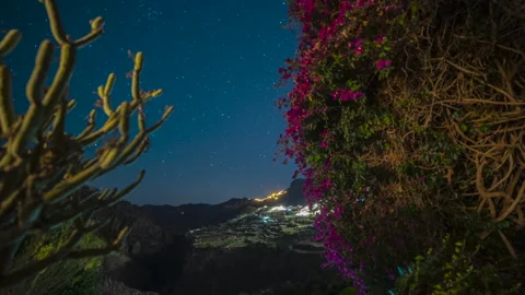 Dancing Stars TIME LAPS Stock Footage 318222577