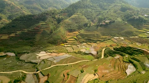 Dancing Sun and Shadows on a Valley full of Terraced Rice Fields in SaPa Stock Footage 314841780