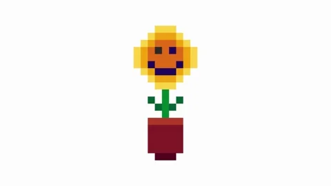 Dancing sunflower pixel animation art  on white background Stock Footage 247216431