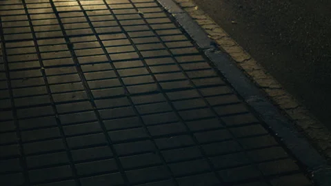 Dancing Tree Shadows on Wet Pavement at Night Stock Footage 329287175
