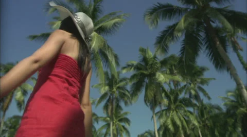Dancing under coconut trees Stock Footage 30477069