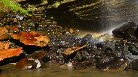 Dancing waters 動画素材 165988179