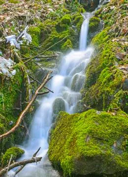 Dancing waters in the wilderness Photos