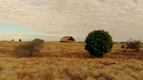 Dancing with the wind across endless horizons Stock Footage 304880923
