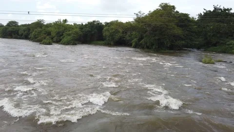Dandeli kali river flowing down in a close-up view Stock Footage 166279692