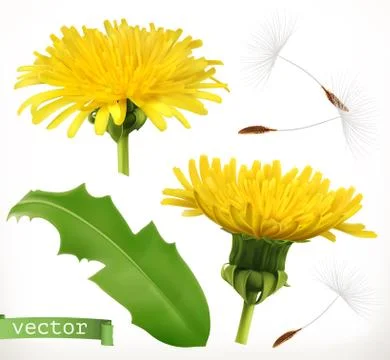 Dandelion, 3d vector icon set Stock Illustration