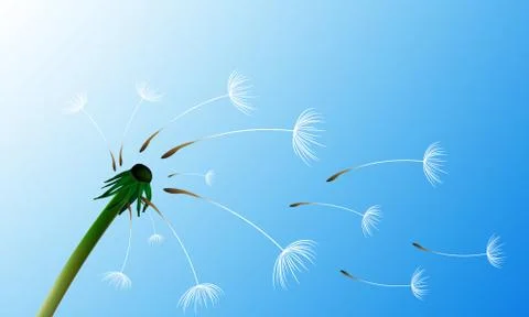 Dandelion against the sky with the wind Stock Illustration