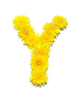 Dandelion Alphabet Stock Photos