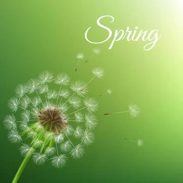 Dandelion And Spring Background Stock Illustration