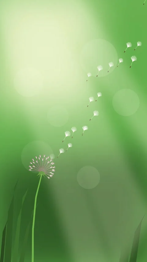 Dandelion animation fluff seeds blowing green nature wind motion graphic 動画素材 346643777