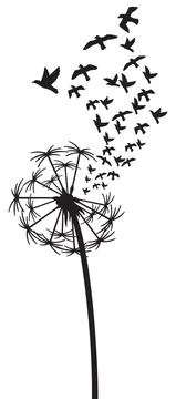 Dandelion with Birds Stock Illustration