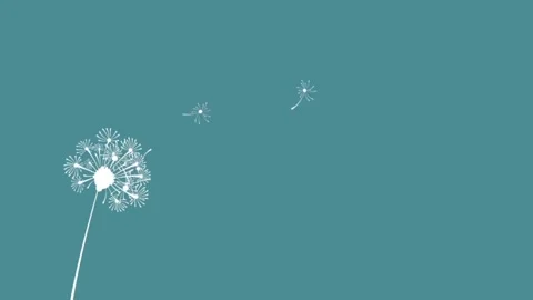 Dandelion blowing in the wind abstract animation. Stock Footage 341297852