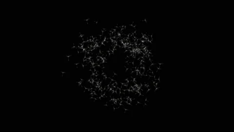 Dandelion Blown Seeds  Flying 3D render transparent background Loop Video stock 104983244