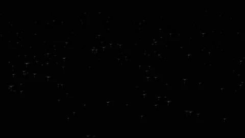 Dandelion Blown Seeds  Flying 3D render transparent background Loop Stock Footage 104983265