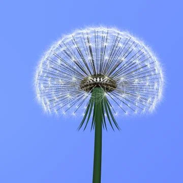 Dandelion on blue Stock Illustration