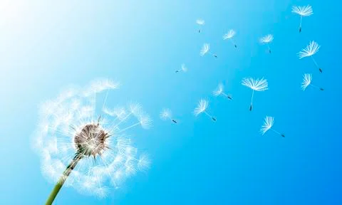 Dandelion on blue sky background Stock Illustration