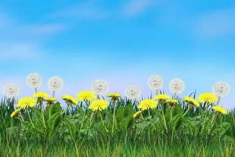 Dandelion on blue sky Stock Illustration