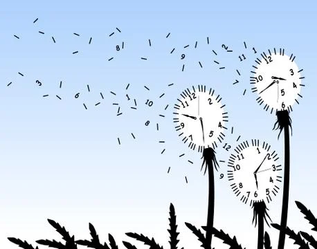 Dandelion clocks Illustrazione stock
