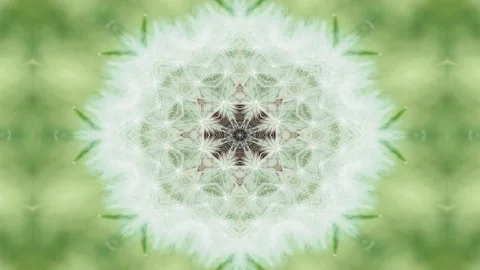 Dandelion. Close up. Summer background. Stock Footage 193633265