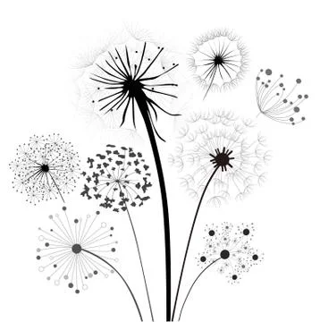 Dandelion Collection Illustrazione stock