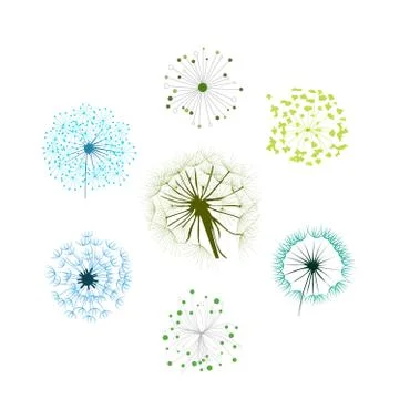 Dandelion Collection 스톡 일러스트