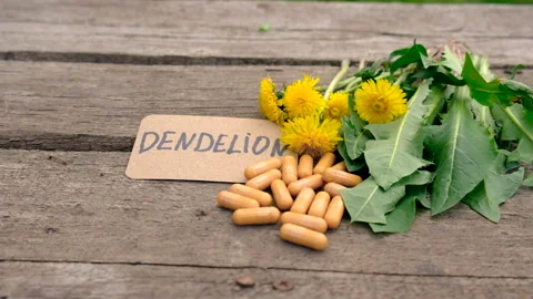 Dandelion extract and homeopathic supplements. Selective focus. Stock Footage 308456871