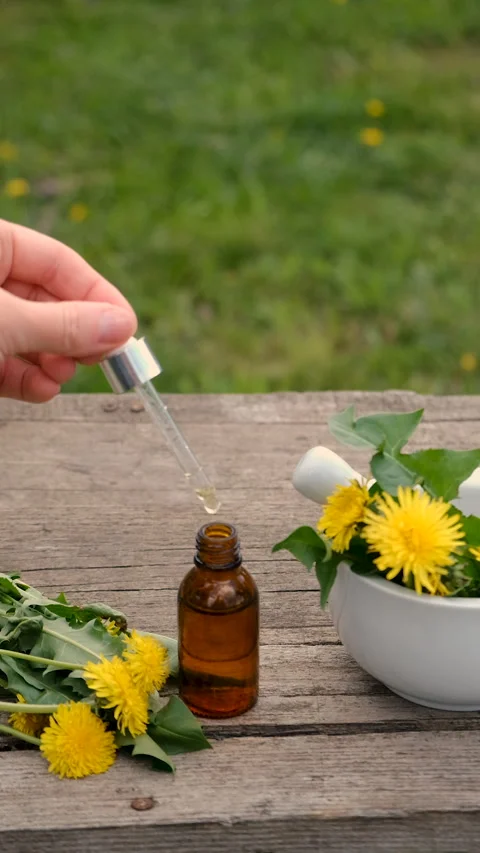 Dandelion extract and homeopathic supplements. Selective focus. Stock Footage 308523299