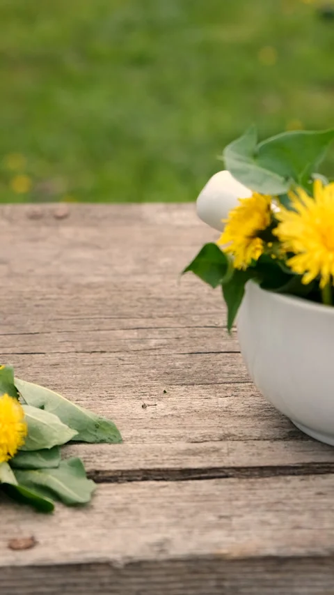 Dandelion extract and homeopathic supplements. Selective focus. Stock Footage 308523376