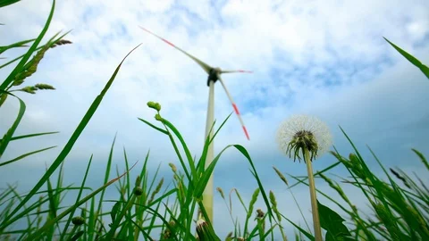 Dandelion flower clock and wind turbine electricity generator on cloudy sky Stock Footage 109620290