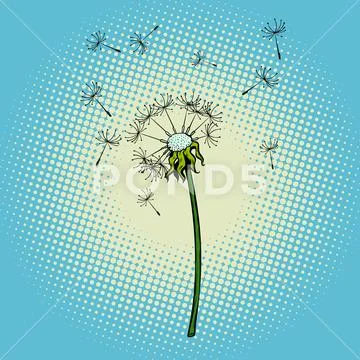 Dandelion flower fluff the wind Stock Illustration