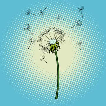 Dandelion flower fluff the wind Stock Illustration