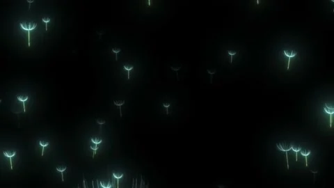 Dandelion Flowers Flying On Dark Back, Nature Relaxing Loop Background Video Stock Footage 172169016