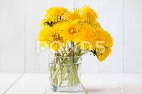 Dandelion flowers in glass with water ~ Premium Photo #75567799