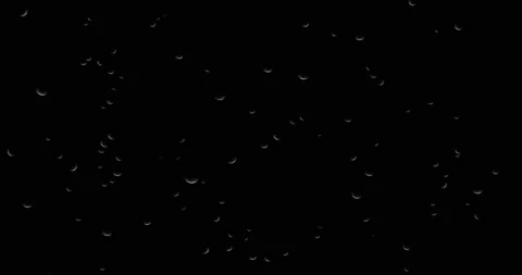 Dandelion fluff 3D render, absolute dandelion inflorescences on a black Stock Footage 164648097